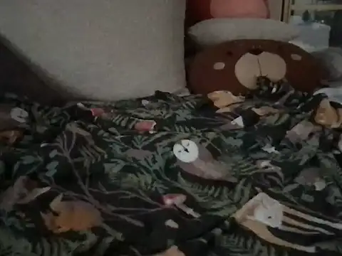 Perwers 41 online show from November 2, 2025, 2:22 pm