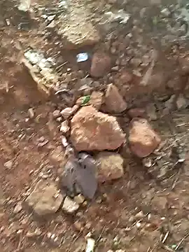 Gopal1243 online show from December 15, 2024, 2:08 am