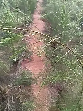 Gopal1243 online show from December 14, 2024, 2:00 am