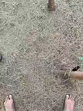 Gopal1243 online show from February 26, 2025, 2:19 am