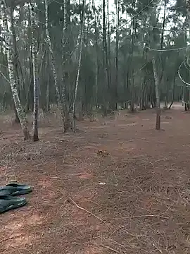 Gopal1243 online show from January 20, 2025, 1:18 am