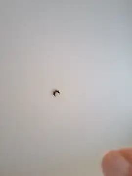 Yaya Mineira online show from March 14, 2025, 5:24 pm