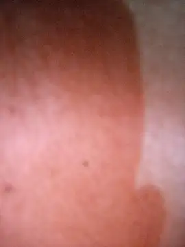 Snapshot of CASADASIGILO2 chatting on February 20, 2026, 12:29 am CASADASIGILO2 online show from February 20, 2026, 12:29 am