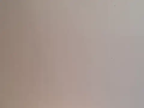 highstepper500 online show from December 25, 2024, 2:02 pm