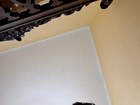 White rabbit  online show from October 29, 2025, 9:58 pm