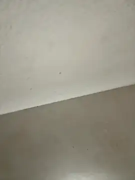 Ortegakim online show from November 16, 2025, 5:28 pm