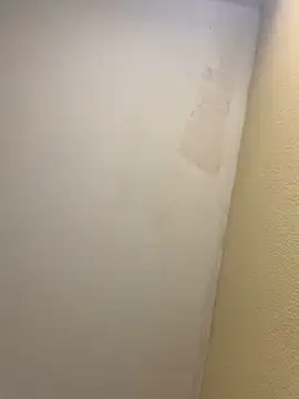 Snapshot of pinkangell chatting on November 2, 2025, 7:41 pm pinkangell online show from November 2, 2025, 7:41 pm