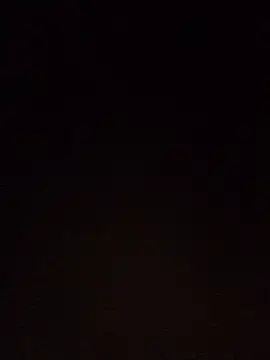 foxiks online show from January 4, 2025, 1:53 pm