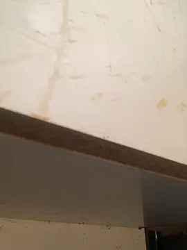 foxiks online show from April 9, 2026, 11:38 am