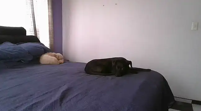 Snapshot of RAYA_1 chatting on February 12, 2025, 4:33 pm RAYA 1 online show from February 12, 2025, 4:33 pm