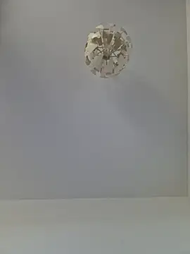 cuci45 online show from November 1, 2025, 10:31 am