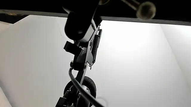 sarita loven online show from February 19, 2026, 4:53 am