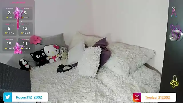 Snapshot of Room312_ chatting on April 3, 2026, 4:46 pm Room312 online show from April 3, 2026, 4:46 pm