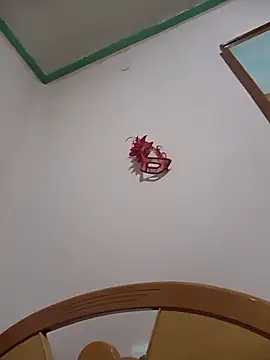 HAIRY PUSSY BIG online show from March 11, 2026, 2:49 am