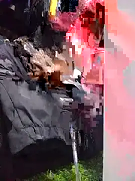 Hailey BaileyXYZ online show from April 15, 2026, 1:37 pm