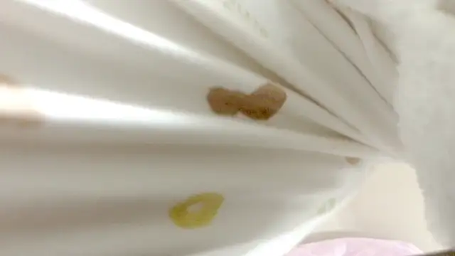 nemui oyasumi online show from February 16, 2025, 6:10 pm