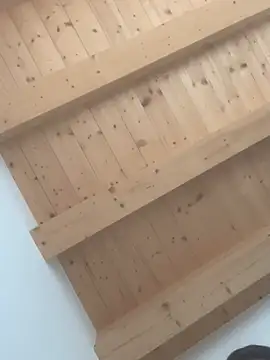 Fellix online show from February 24, 2025, 11:43 am