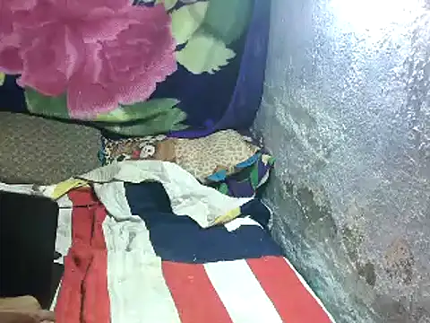 Rocobodymassager online show from March 14, 2026, 6:52 am