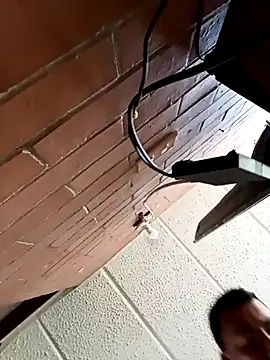 Diego leon27 online show from March 12, 2026, 7:07 pm