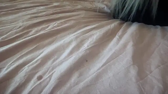 Bustyblondebabe32 online show from September 30, 2025, 11:38 am