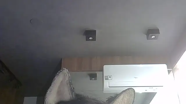 Skinny-Kitten online show from February 7, 2026, 8:39 pm