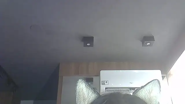 Skinny-Kitten online show from December 3, 2025, 11:14 pm