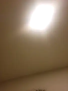 Snapshot of lofibunni chatting on February 15, 2026, 3:29 am lofibunni online show from February 15, 2026, 3:29 am