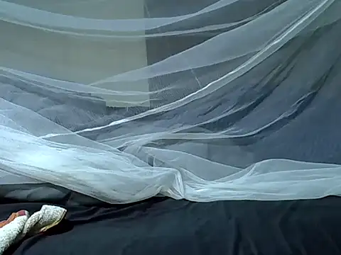 Snapshot of Leebwoy20 chatting on February 4, 2026, 11:55 pm Leebwoy20 online show from February 4, 2026, 11:55 pm