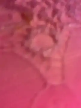 ThICk JuIcEy online show from January 8, 2026, 8:42 am