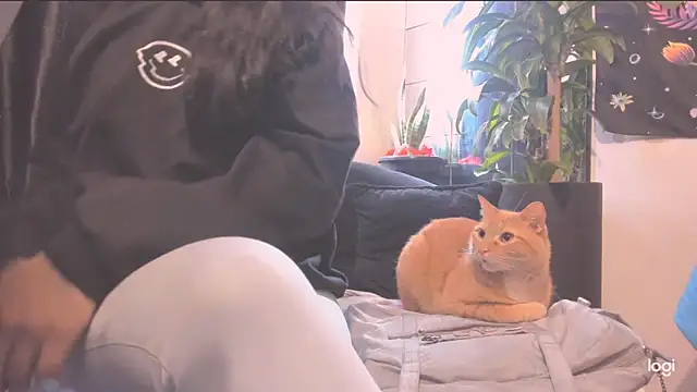 MYFAVOURITESTRAGER online show from October 21, 2025, 4:17 pm