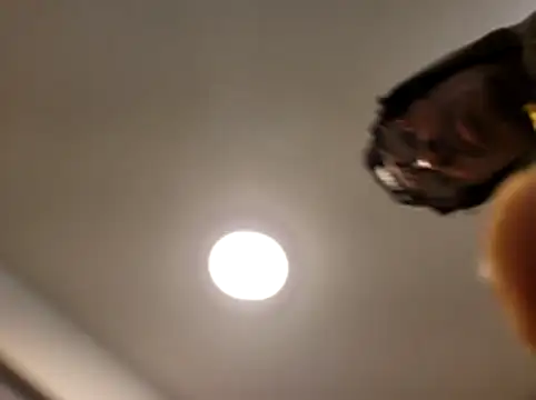 Z3US UP 1 online show from December 17, 2025, 1:21 am