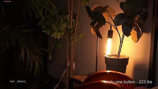 TataCoy online show from February 15, 2026, 2:49 pm