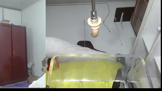 sammyEvans   online show from November 7, 2025, 11:19 pm