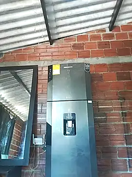 Yelly online show from March 13, 2026, 3:39 pm