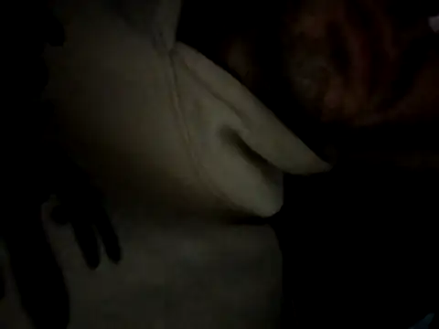 Snapshot of trap_xandi_playlist chatting on October 29, 2025, 5:01 pm trap xandi playlist online show from October 29, 2025, 5:01 pm