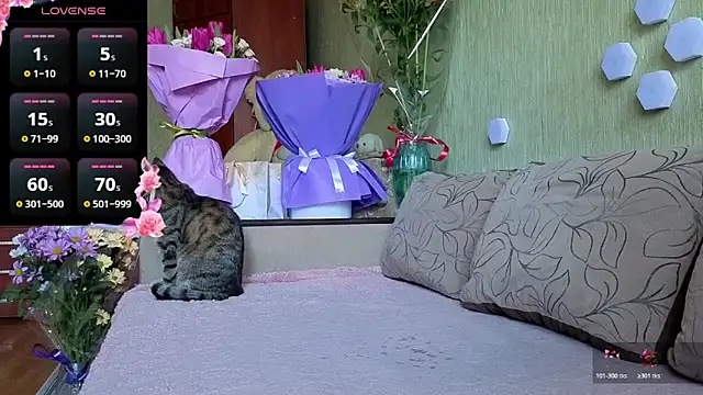 Miss Flexi fit online show from March 8, 2026, 12:08 pm