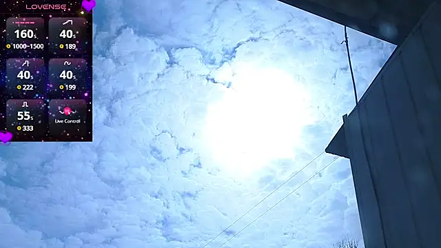 Miss Flexi fit online show from March 22, 2025, 8:40 am