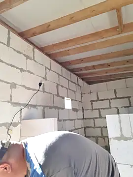 Pandasky online show from November 5, 2025, 9:01 am