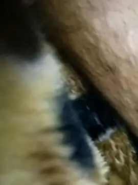 Bigcockmexi13 online show from May 15, 2026, 5:55 pm