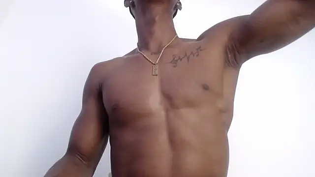 drake brwon 23 online show from November 13, 2025, 6:34 pm