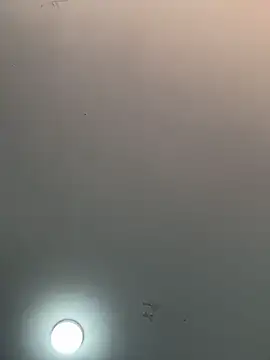  alabina  online show from February 5, 2026, 1:29 pm