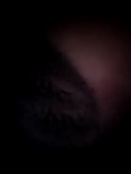 Awadalieid online show from January 17, 2026, 8:12 pm