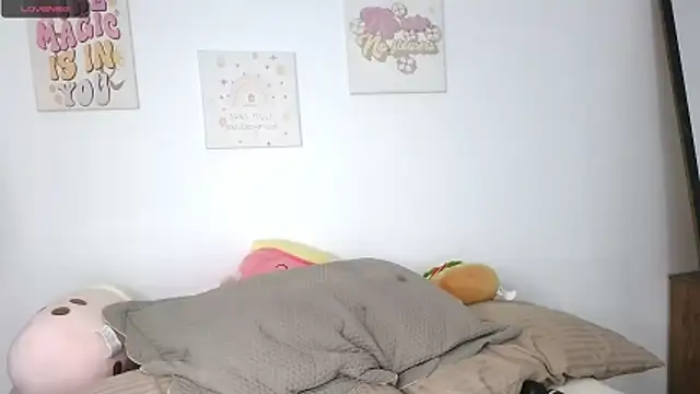 northly online show from February 11, 2026, 2:17 pm