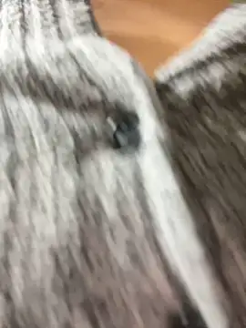 Snapshot of Asia-Lynn chatting on March 12, 2025, 4:56 pm Asia-Lynn online show from March 12, 2025, 4:56 pm