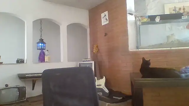 Snapshot of Stevenson988 chatting on January 14, 2026, 6:00 pm Stevenson988 online show from January 14, 2026, 6:00 pm