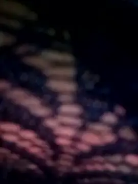 09punjabi online show from March 13, 2025, 2:44 pm