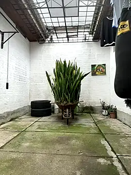 oliver price1 online show from November 15, 2025, 6:45 pm