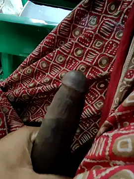 Kolkata   Boy online show from January 11, 2026, 3:24 am