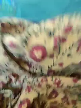 Kolkata   Boy online show from February 18, 2025, 8:27 am